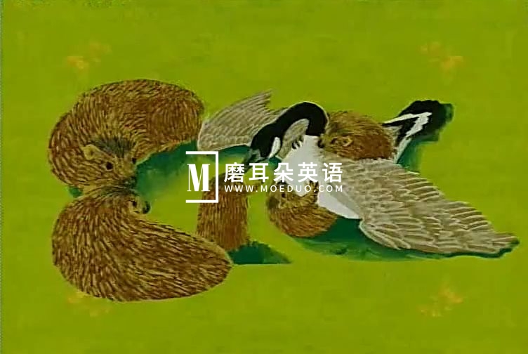 幼儿经典英语启蒙绘本故事视频，全188集，标清视频带英文字幕，百度网盘下载！-晨希少儿英语