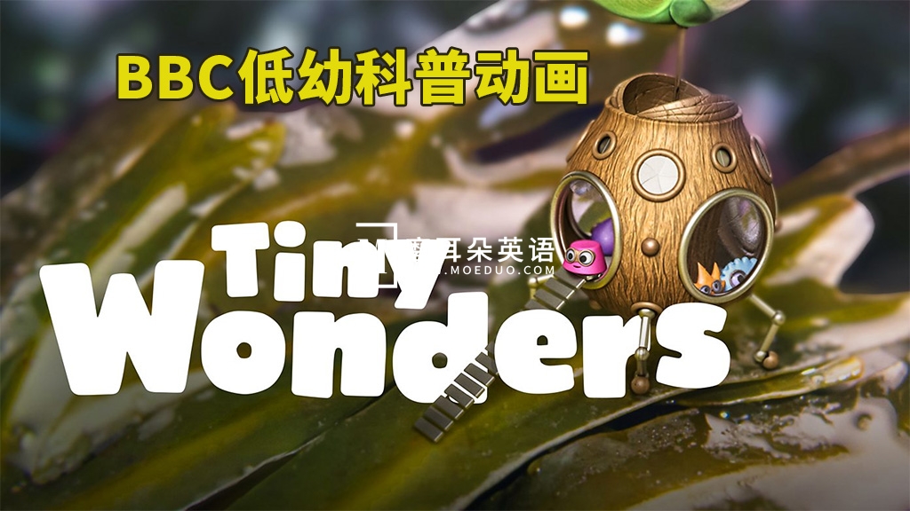 BBC英文科普动画《Tiny Wonders 小奇迹》全1-3季共30集，教你学会观察、探索自然界小奇观！1080P高清视频带英文字幕，百度网盘下载！-晨希少儿英语